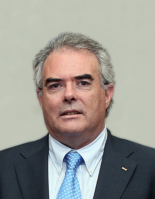 Vicente Henrique Gonçalves